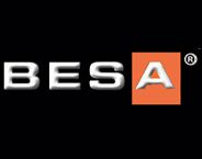 BESA SYNTHETIC LEATHER LTD. .