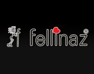 FELLINAZ TEXTILE