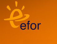 EFOR TOURISM LTD. 